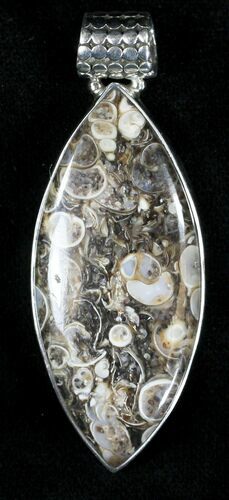 Fossil Turritella (Gastropod) Pendant - Sterling Silver #21608